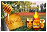 ArtFX Portfolio of adverts
